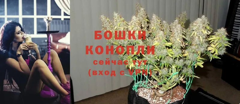 Каннабис Ganja  Саров 